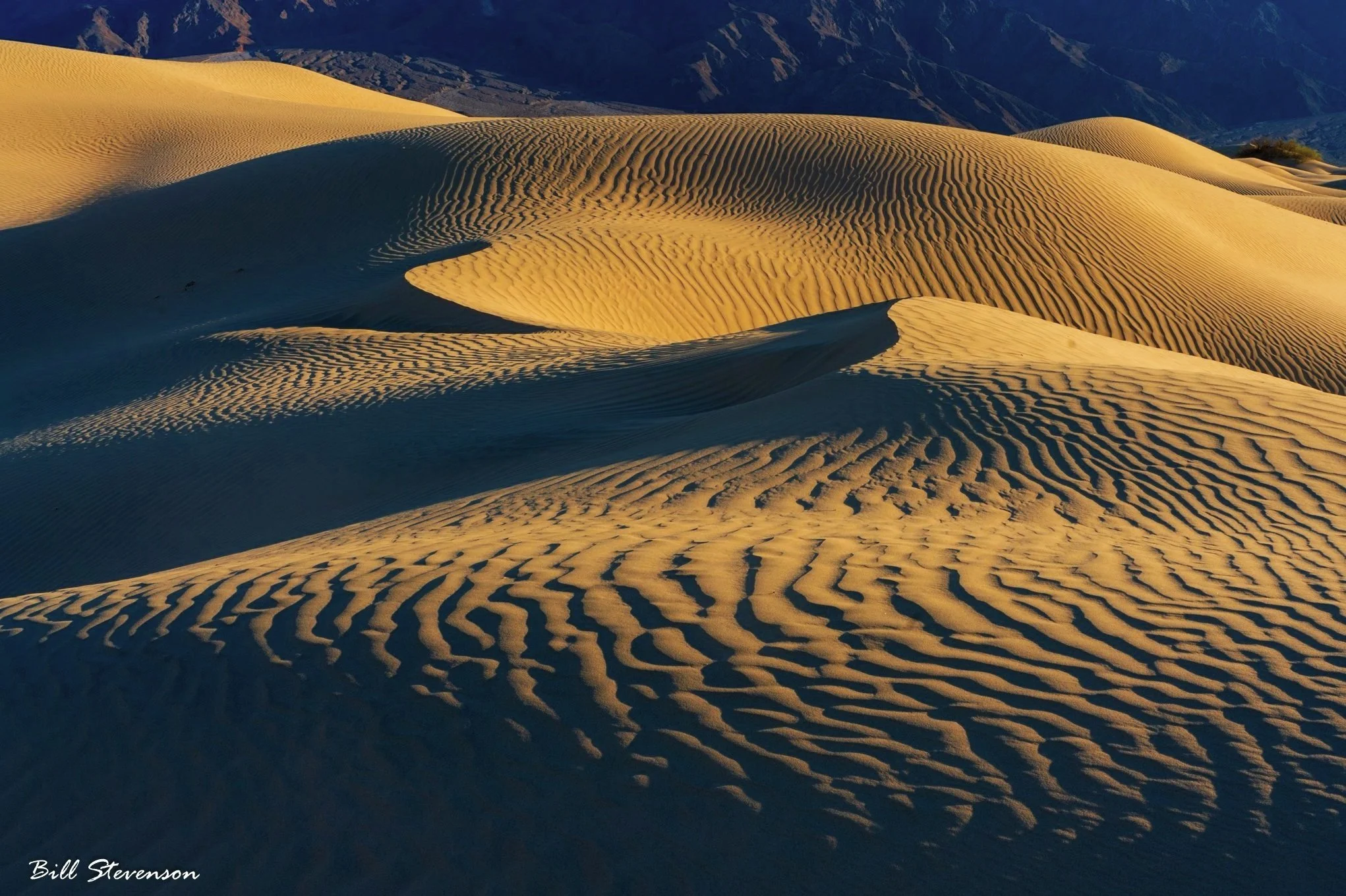 15926-MESQUITE%2BDUNES.jpg