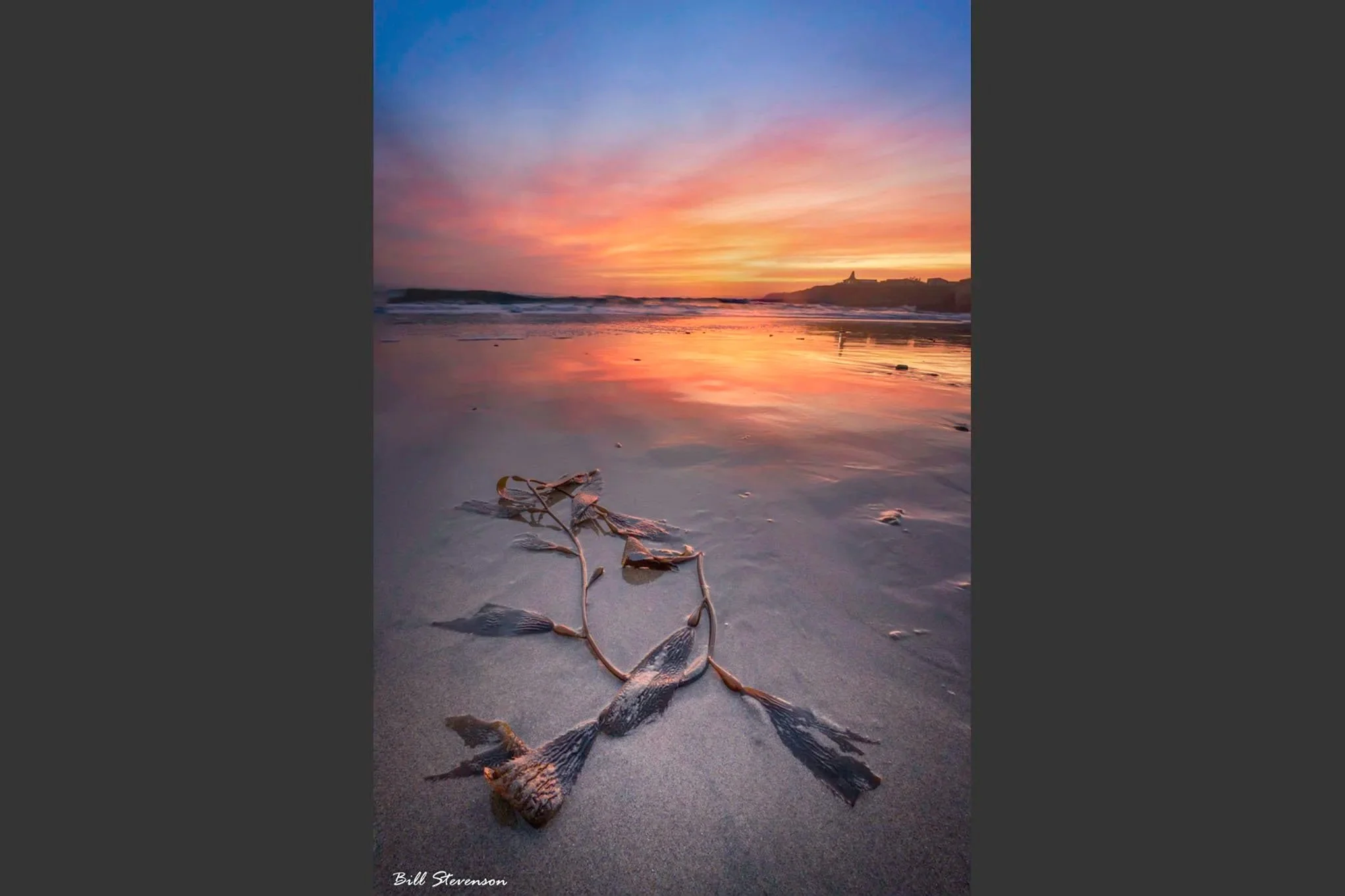 Sunset at Natural Bridges State Beach near Santa Cruz, CA