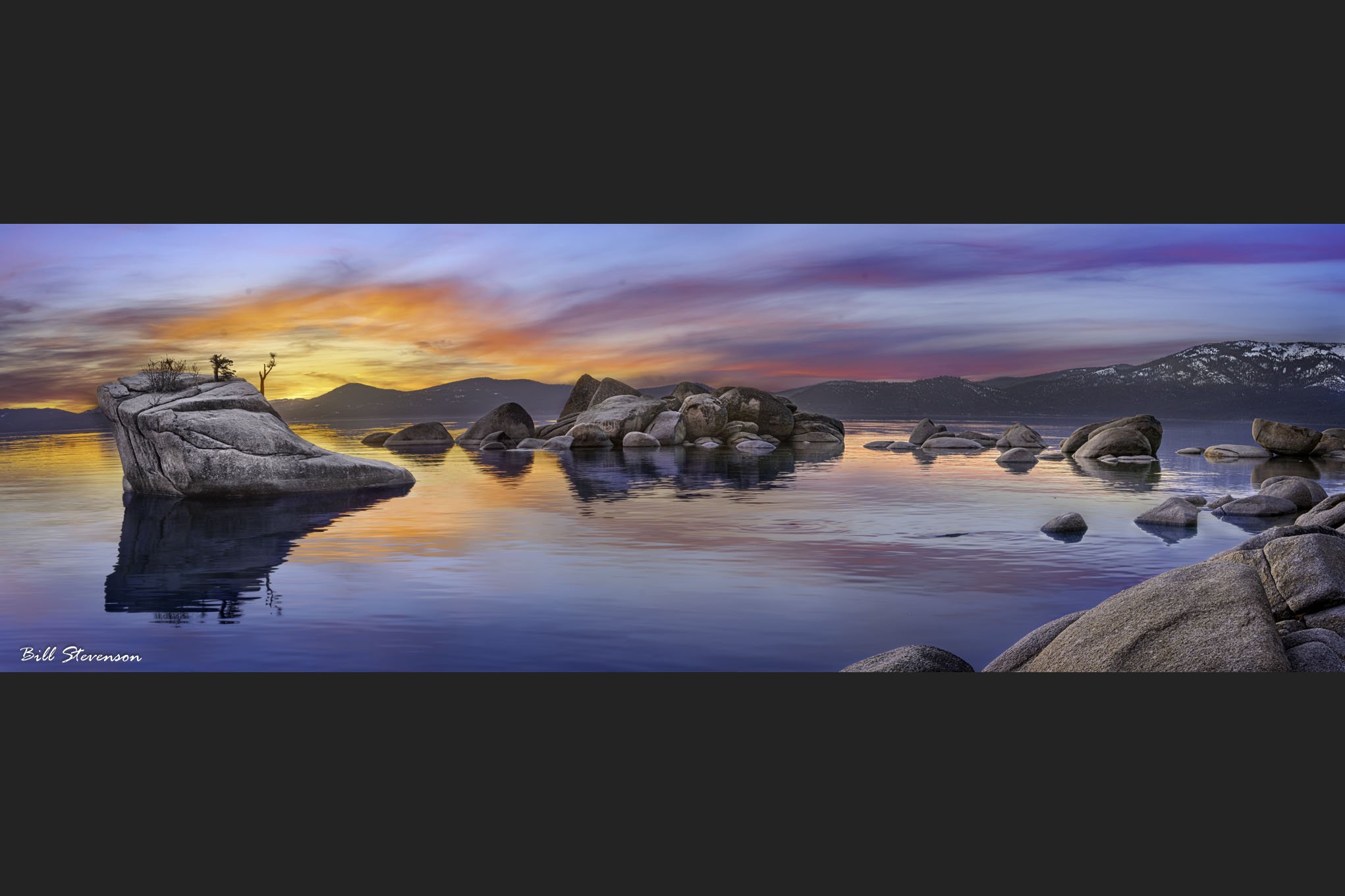 The Sovereign - 24 X 72 Metal Print