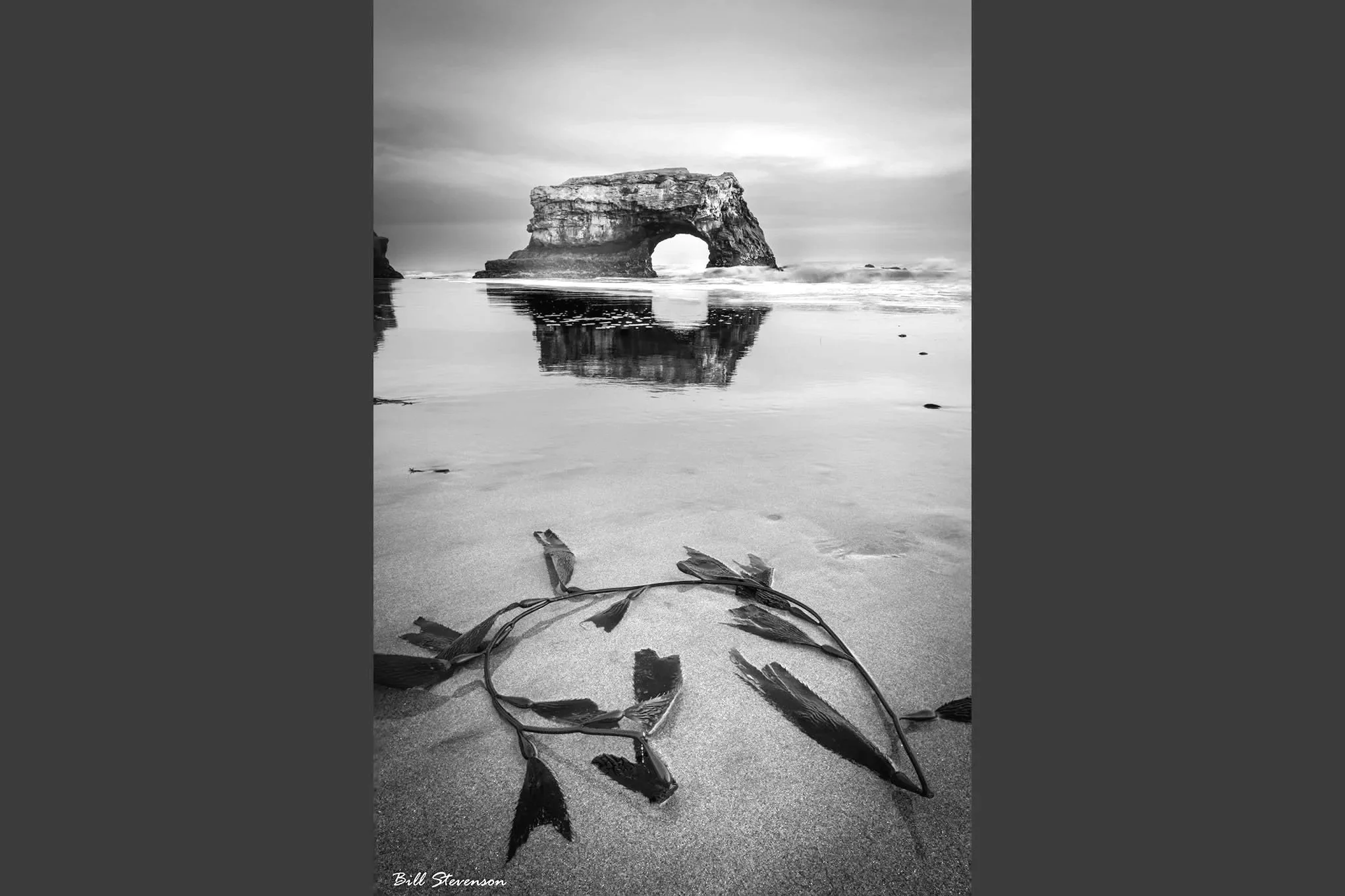 A natural bridge in the ocean at Natural Bridges State Beach near Santa Cruz, CA