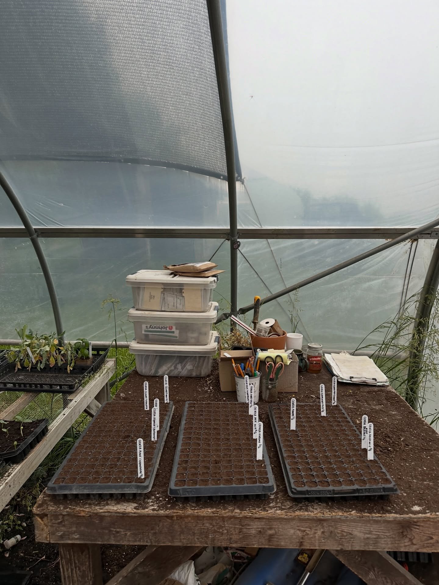 Spring is calling y&rsquo;all ☀️ Join us for our first workshop of the season, Seed Starting + Soil Blocking, happening Saturday, April 4th (that&rsquo;s next week!! 👀)

Kick off the growing season with this hands-on class where you&rsquo;ll learn h