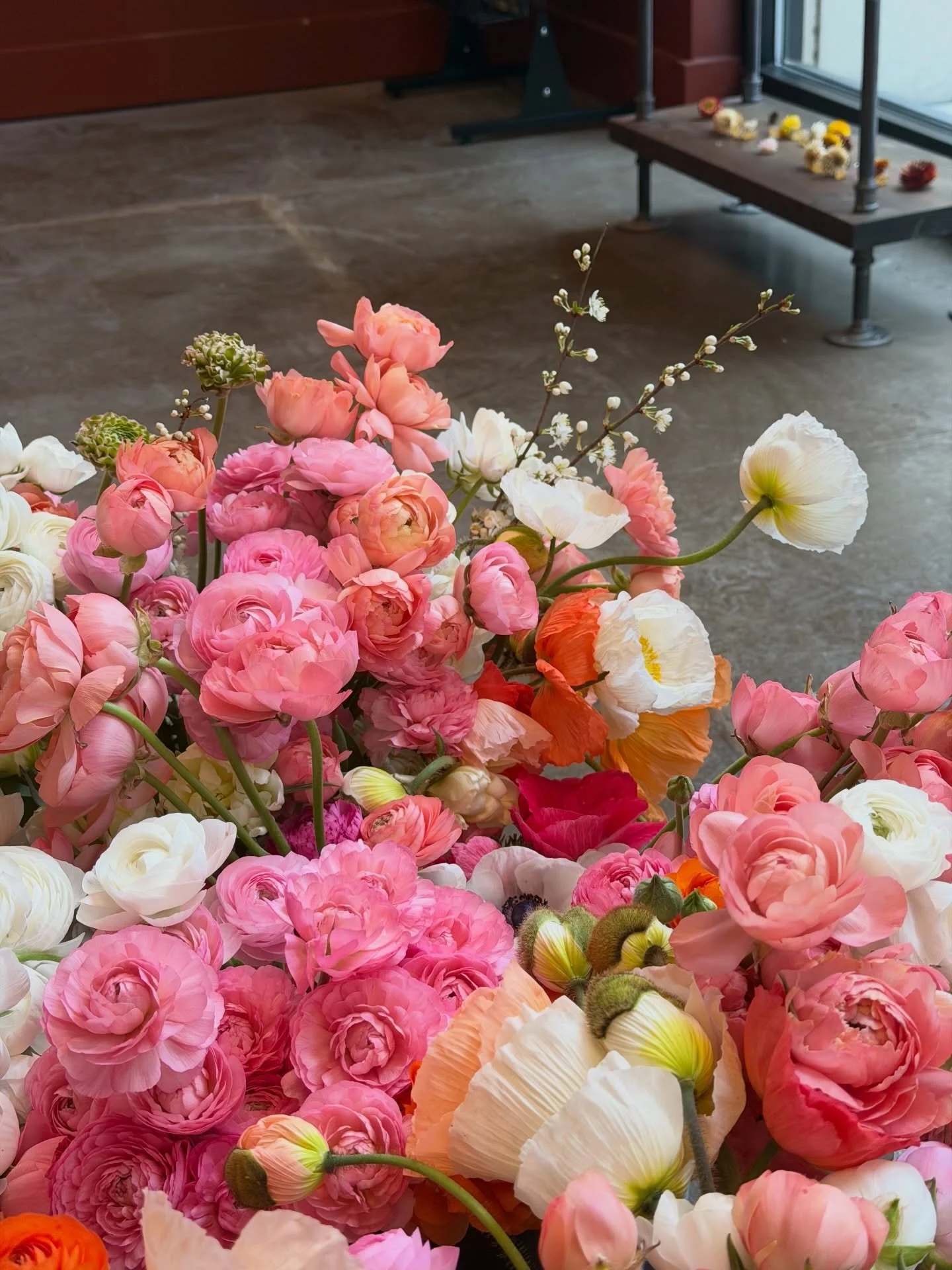 Surprise 🌷🌸 A little preview of opening day just landed at the Grandin @roanokecoop this morning. Limited early spring bunches&mdash;poppies, ranunculus, tulips&mdash;go get &rsquo;em while they last!!