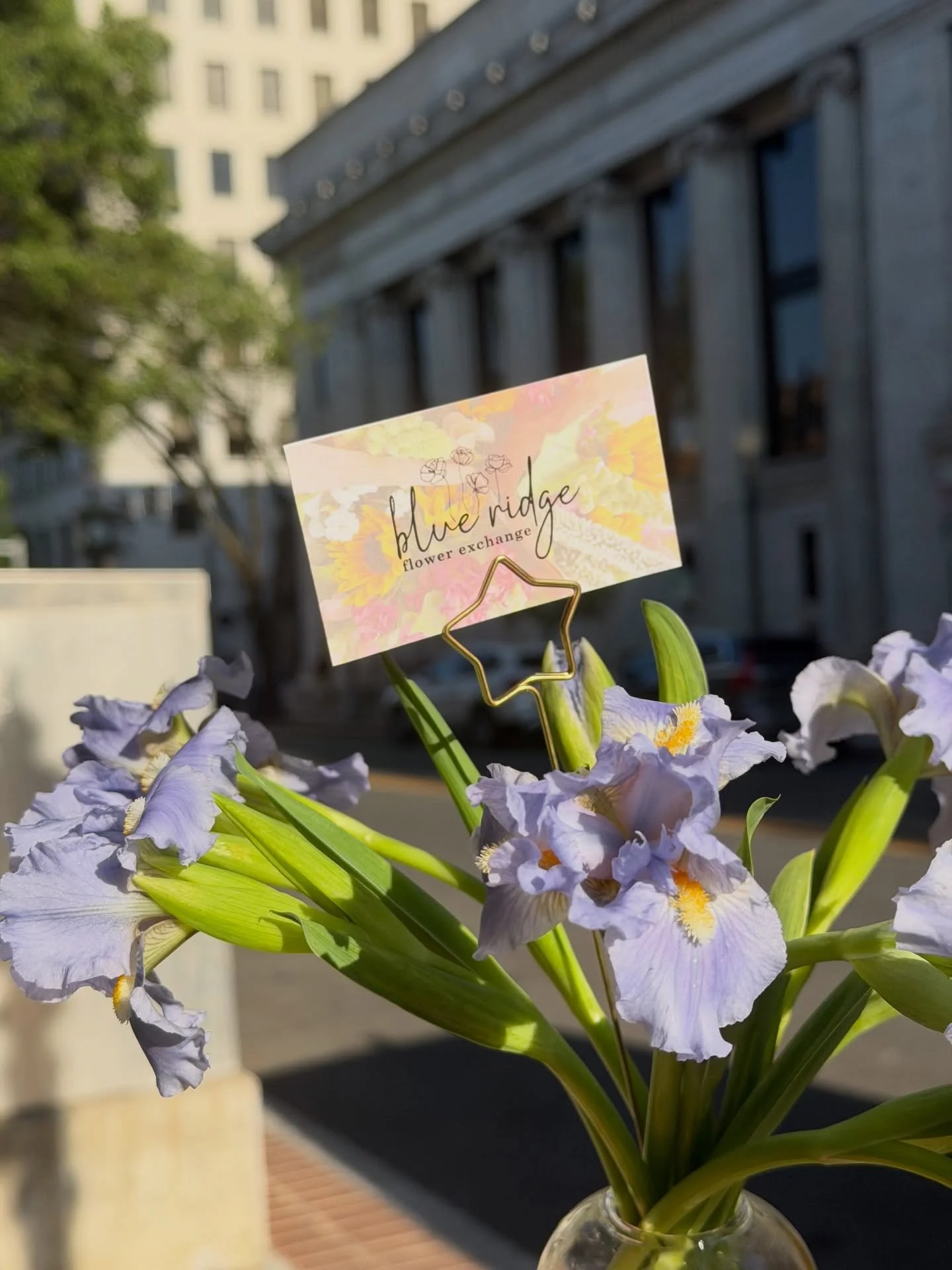 &ldquo;Irises for my Iris&rdquo; 💜

The sweetest special order came through this week, and we couldn&rsquo;t help but share it with you 🥹

Come see us today and tomorrow from 12&ndash;6 pm! 💐💐💐