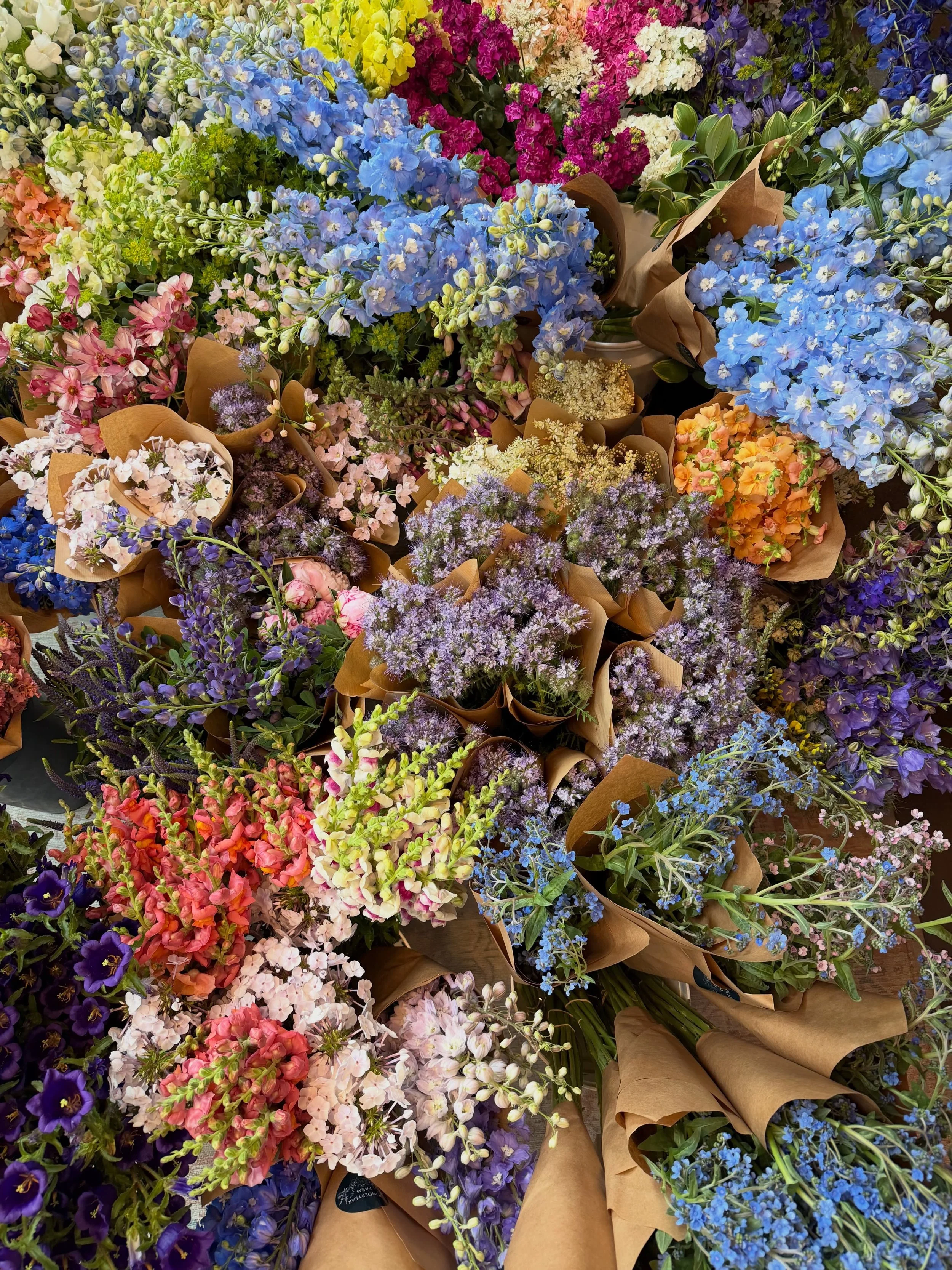 Our growers are breathing a big sigh of relief with this rain and the shop is overflowing with fresh, local flowers ready to brighten your day (or someone else&rsquo;s) ☔️💐

Open 12&ndash;6 today and tomorrow, come see us!!

📍17D Campbell AVE SW