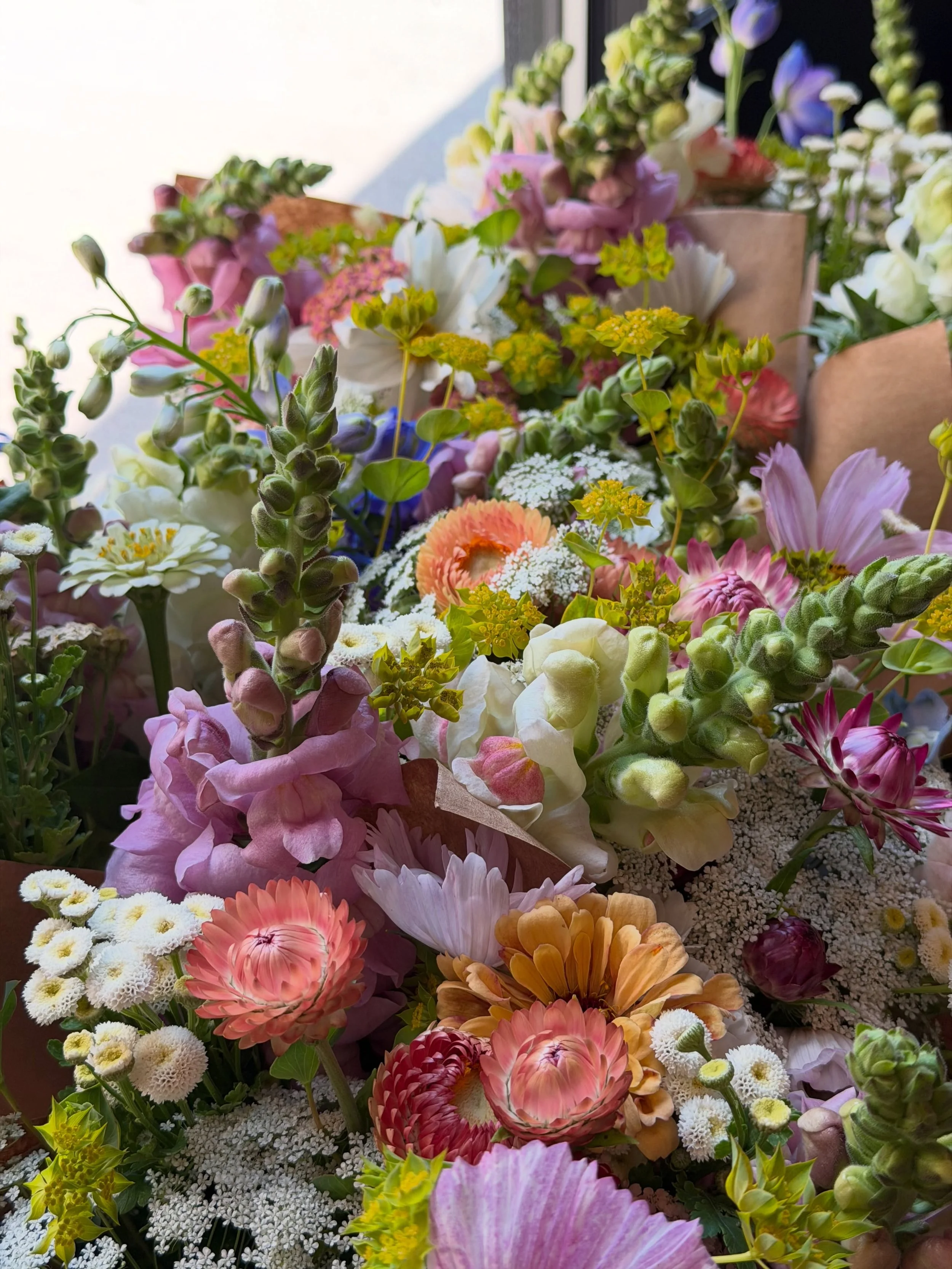 Our growers are working hard out in this brutal heat, tending to the summer flowers that make this season so special. These early summer blooms bring all the fluff, color, texture, and joy!!

Stop by and stock up on your favorites today and tomorrow 