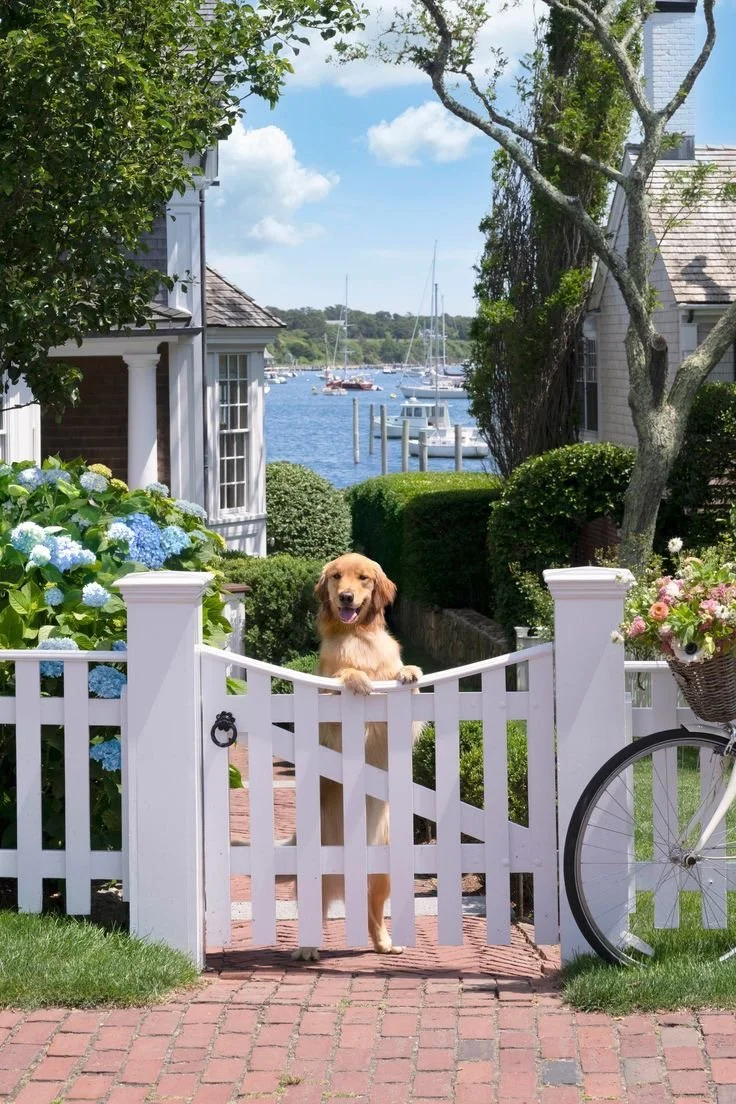 Erica Briggs | Carlisle Design | Meet the Team | Inspiration