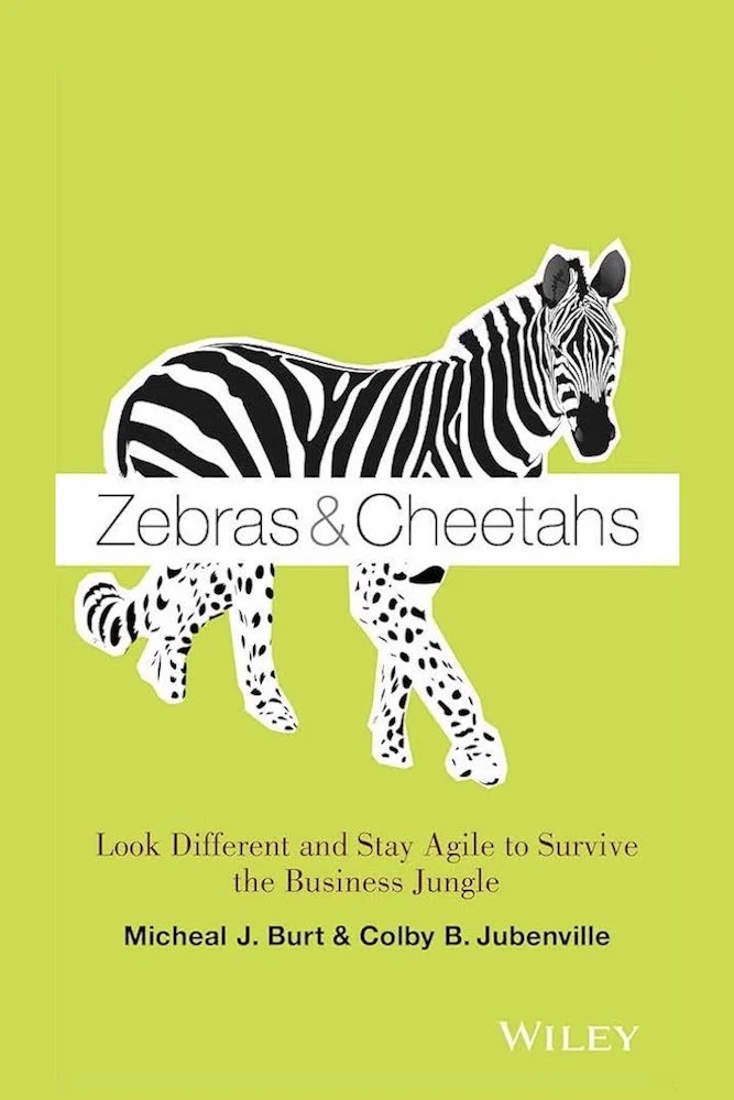 Zebras &amp; Cheetahs