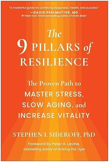 The 9 Pillars of Resilience