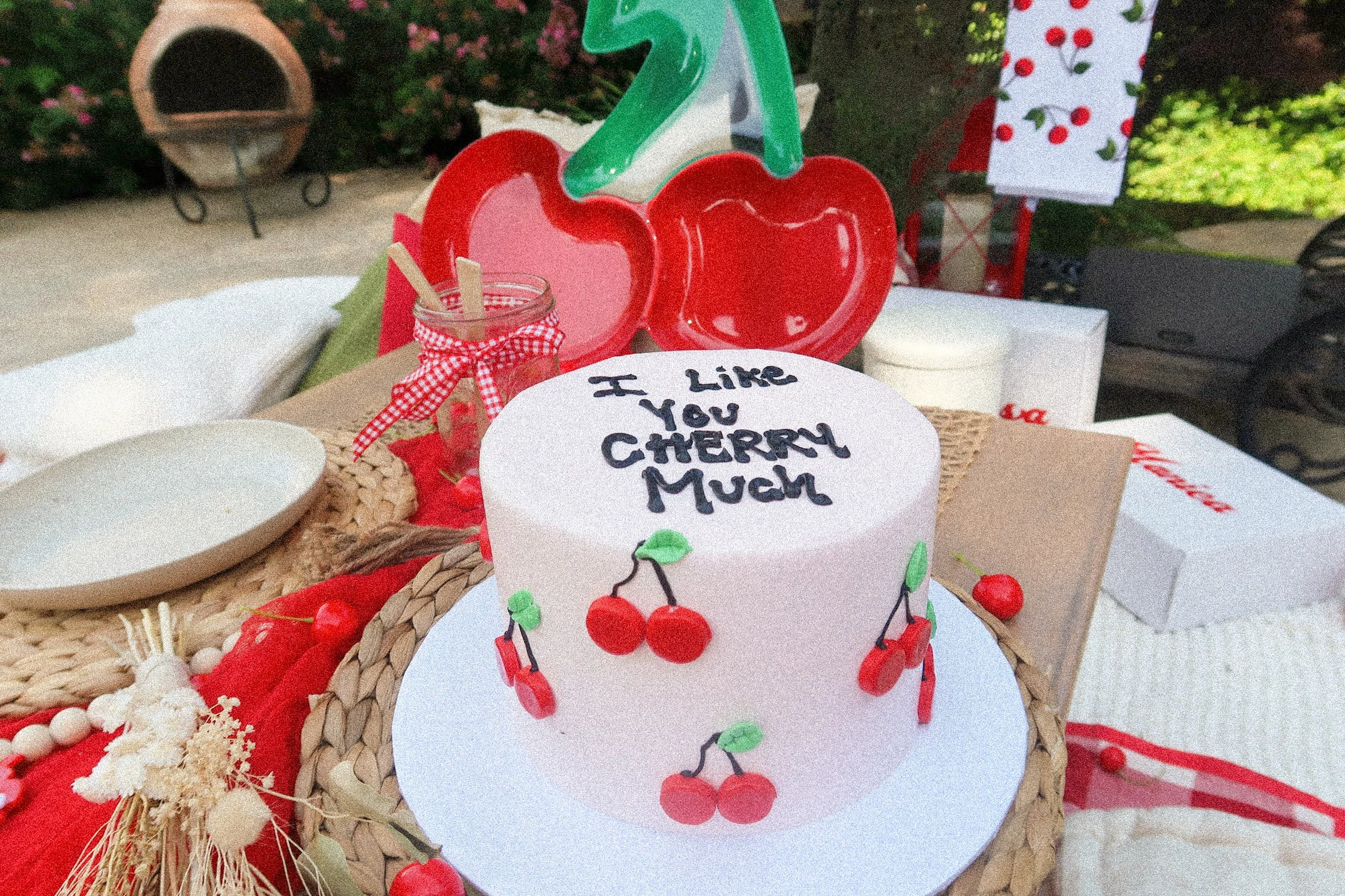 NRD_CherryPicnic11.JPG