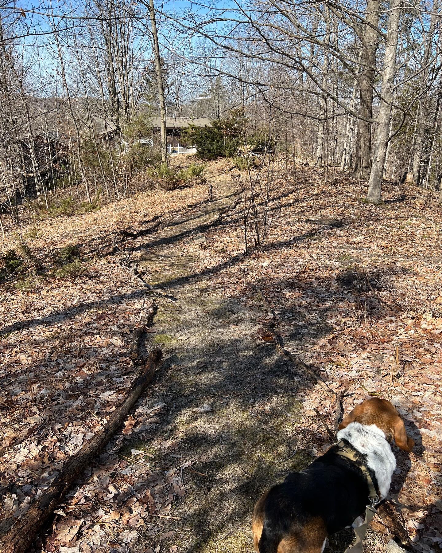 @theericmally can&rsquo;t help himself from projects and lined the entire trail with branches from downed trees 👏 Now I kind of want to hide a lil fairy garden somewhere along it 🧚&zwj;♀️🍄