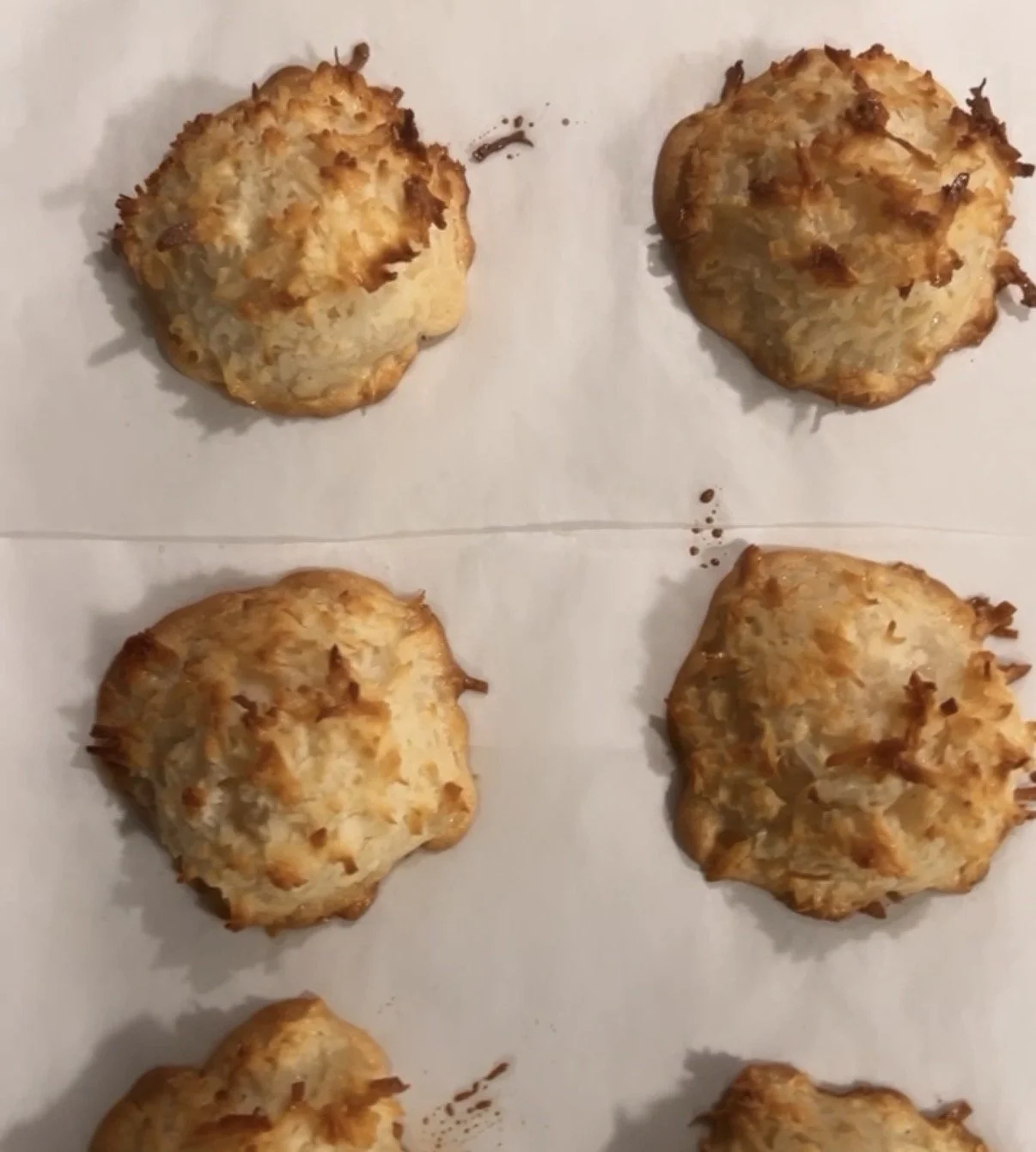 Belgian Chocolate Dipped Coconut Macaroons (Dozen)