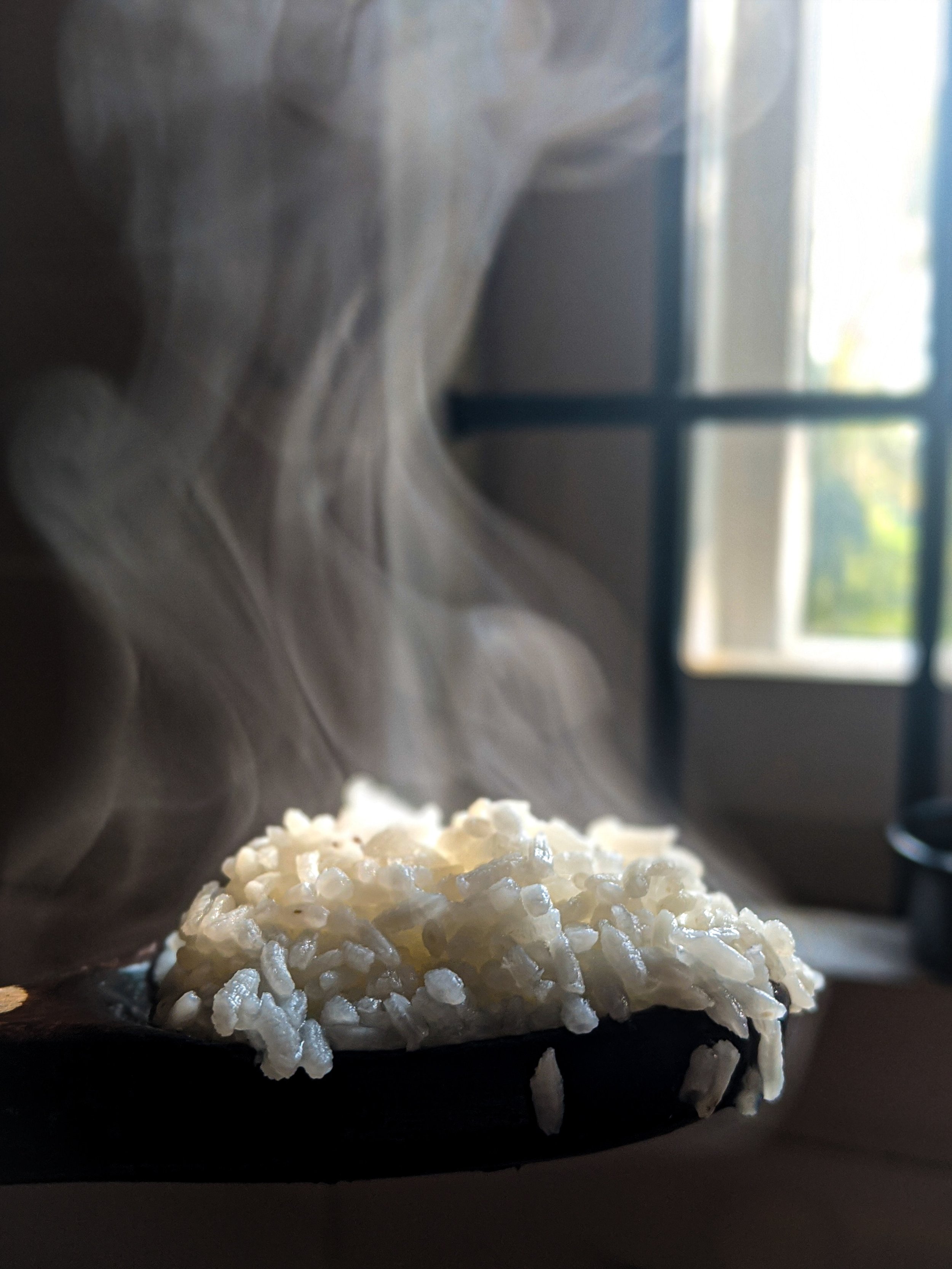 Dietary Recommendations for Diarrhea and Chronic Lyme disease