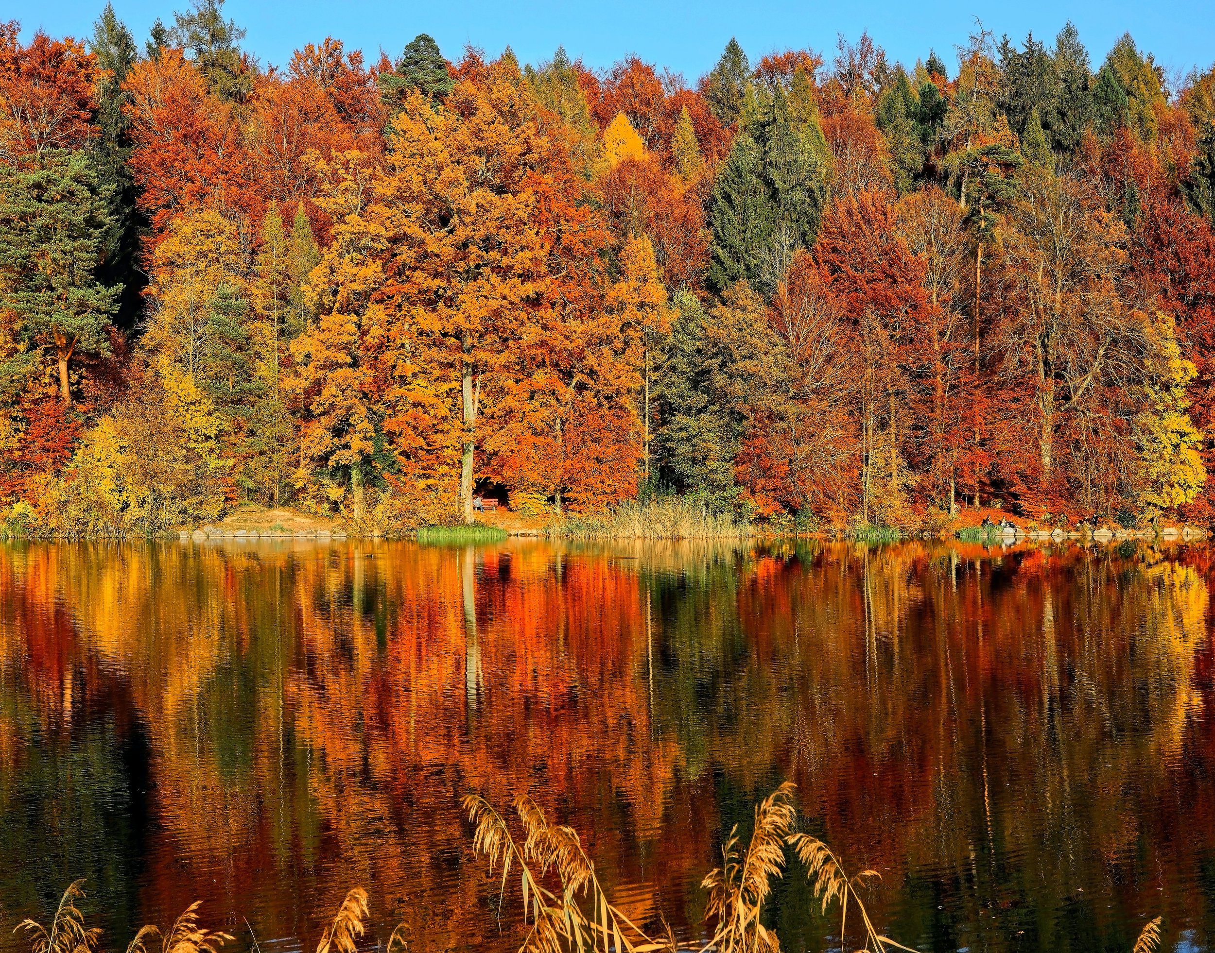 Living with the seasons: Fall