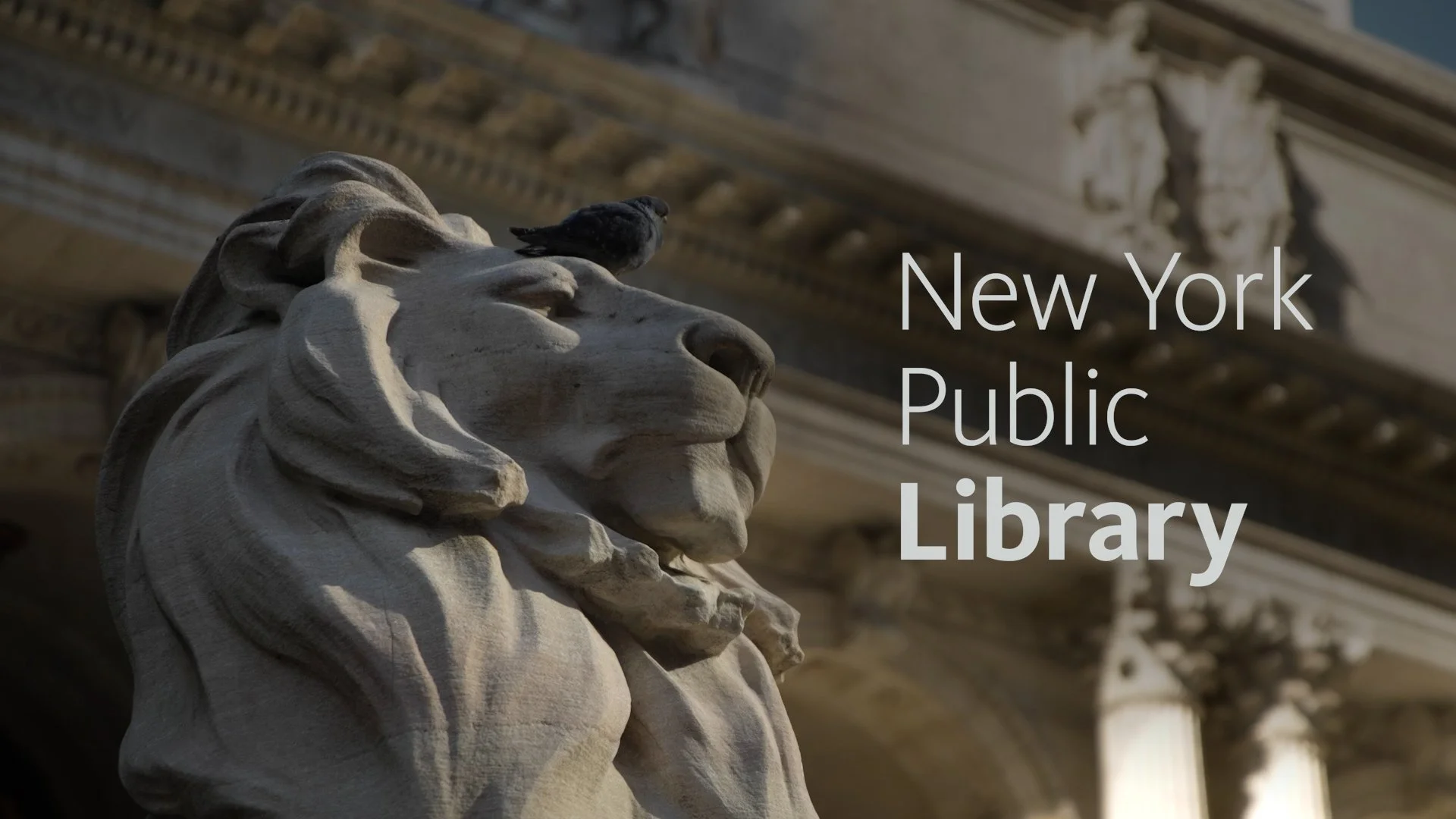 New York Public Library