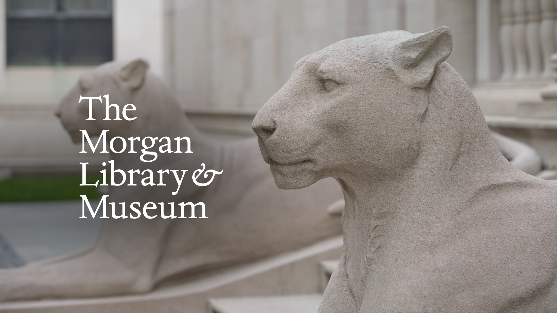 Statue of a lion with text "The Morgan Library & Museum" in background.