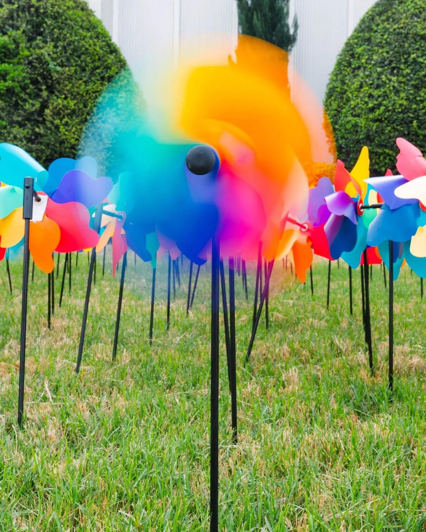 TODAY IS THE LAST DAY TO PURCHASE A PINWHEEL! 

Help us symbolically wipe out child abuse in our area by purchasing online, calling, or coming by the office today!