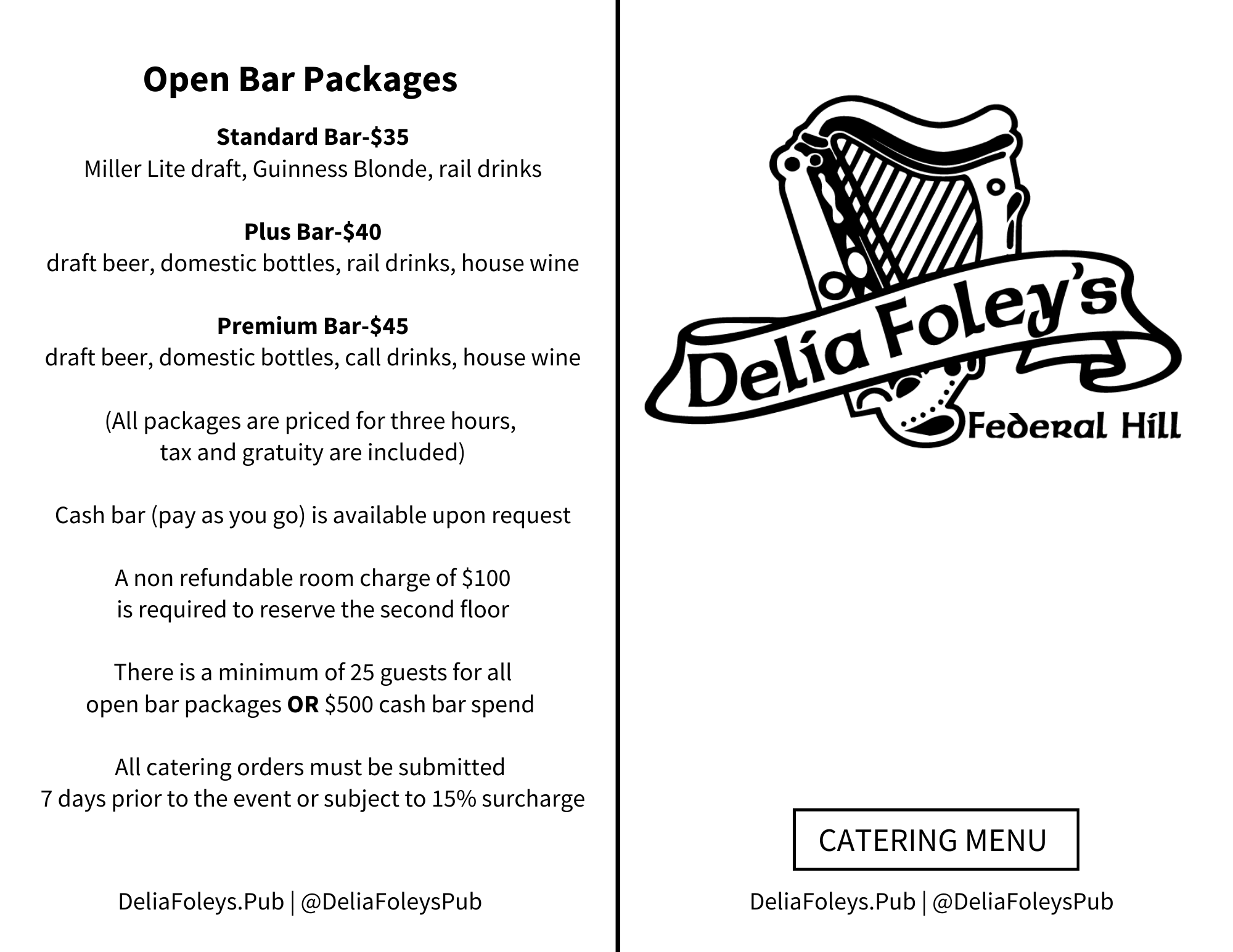 private-parties-delia-foley-s-pub-federal-hill