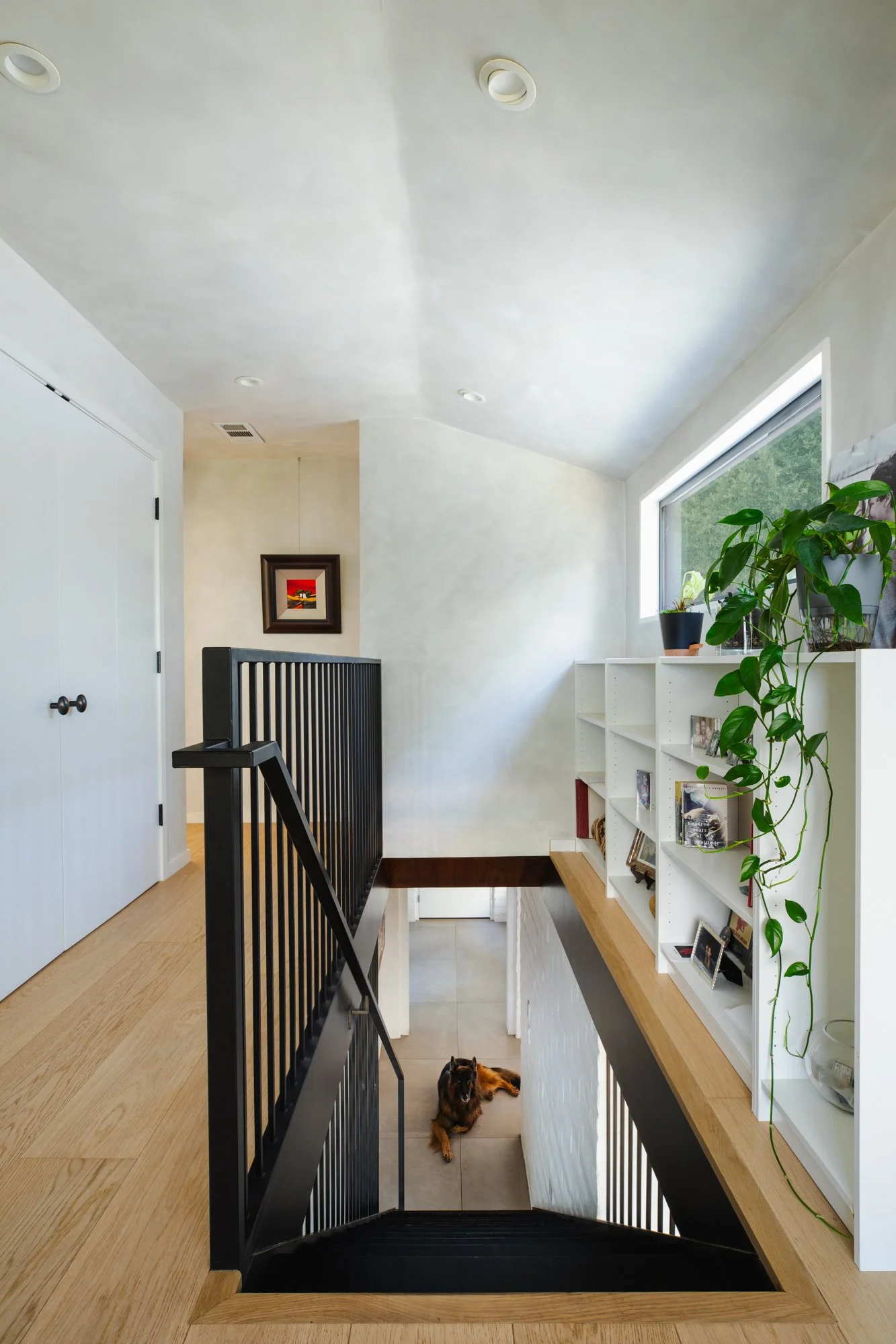 ViewDownStairs.jpg