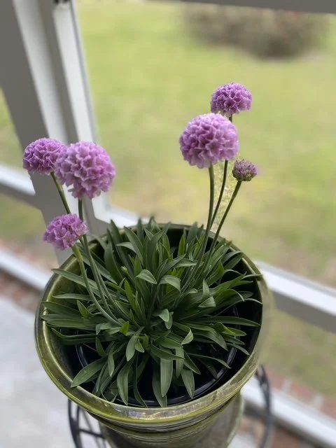 image15(1).jpeg