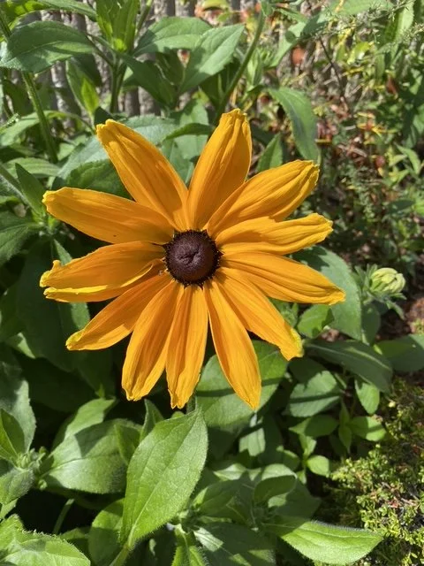 image10(1).jpeg