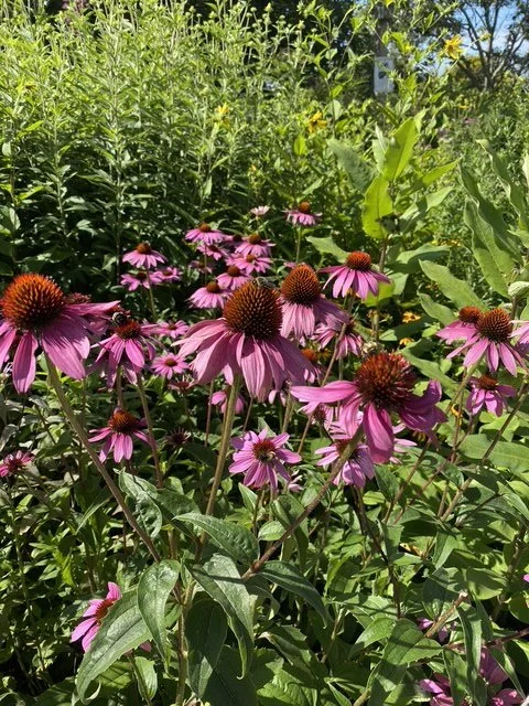 image8(1).jpeg