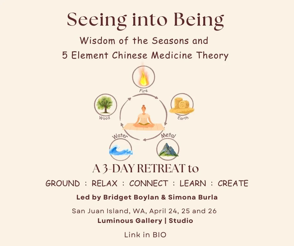Seeing Into Being - 3 day retreat with Bridget Boylan and Simona Burla