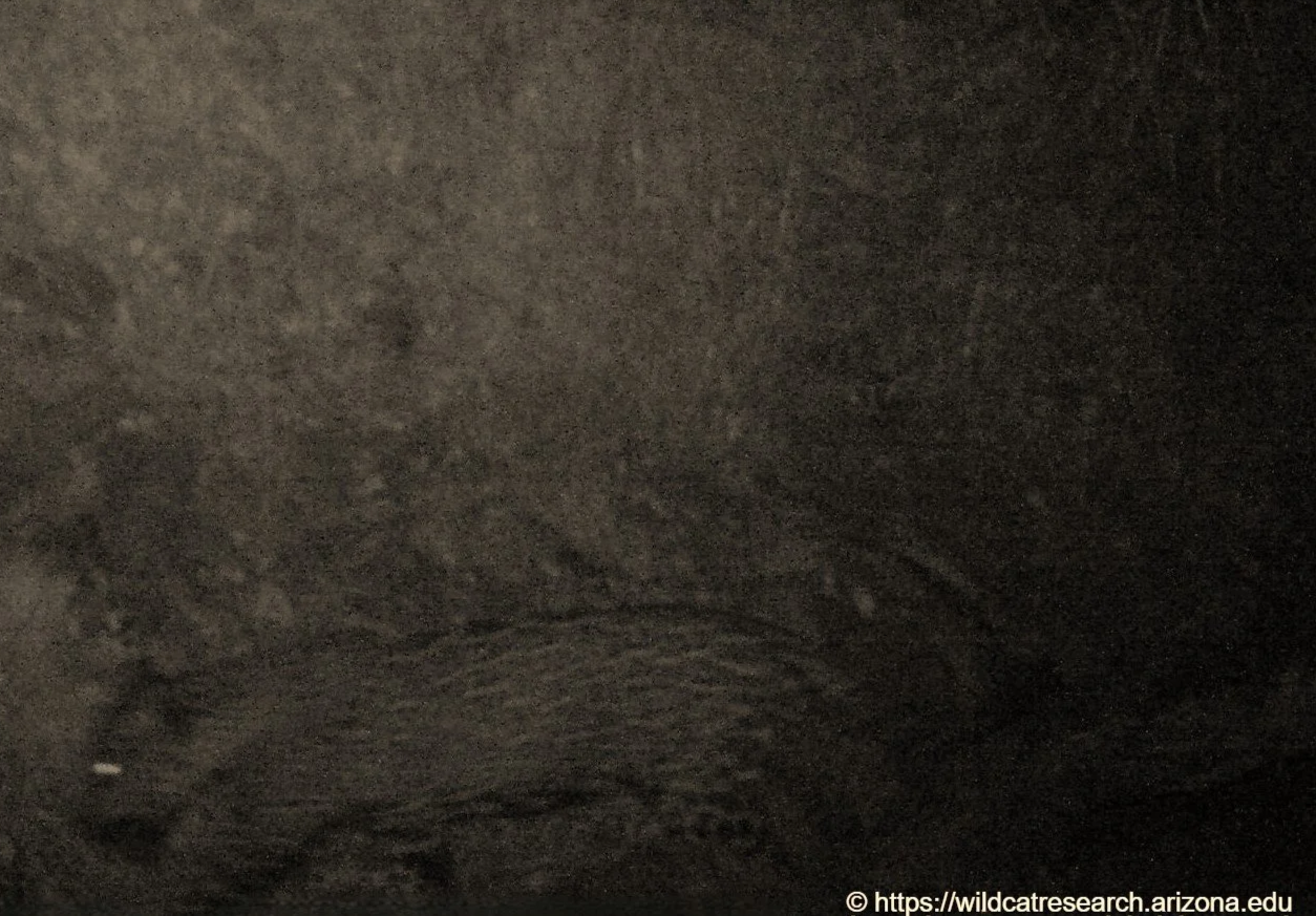 2025 07 01 21 05 03