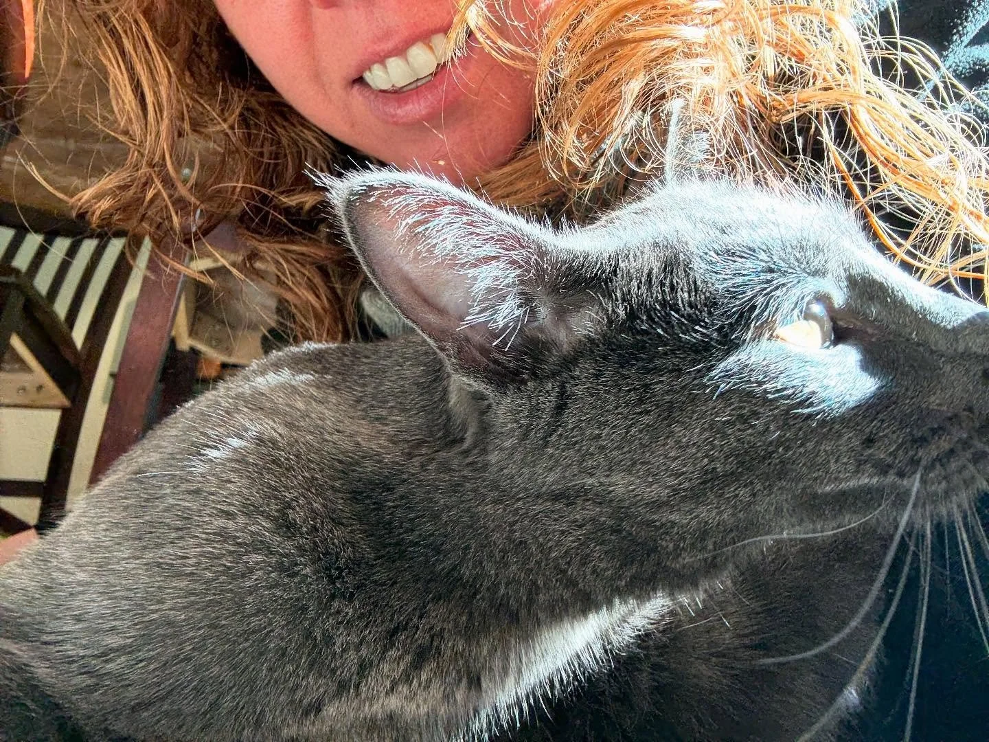 This guy is the sweetest and cutest monster cat that ever was. 😻
Which photo is your fave? (1-4)

#cats #russianbluecat #russianblue #catsofinstagram #whiskerwizard #wolfcat
