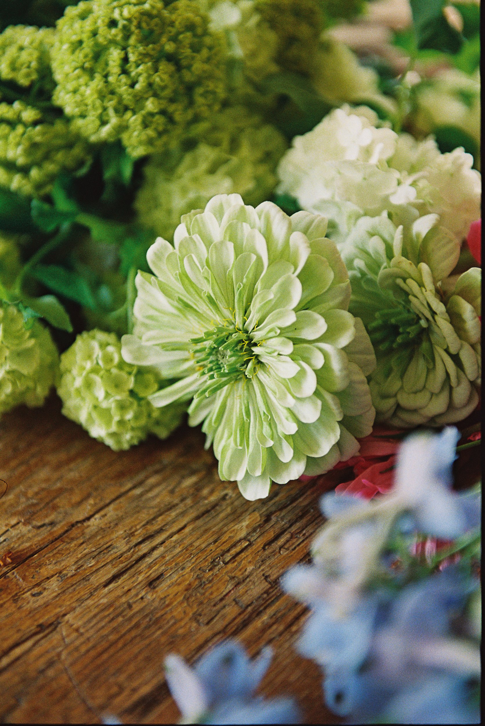 calia booth copine de fleur cara robbins los angeles lifestyle photographer