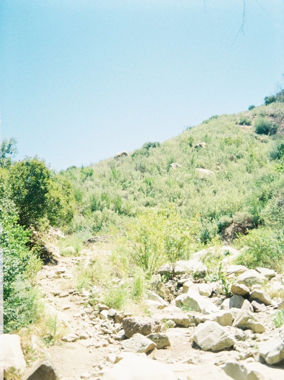 the view 1.jpg