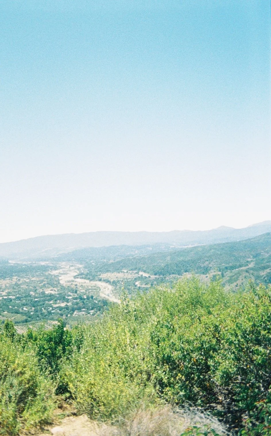 the view 2.jpeg