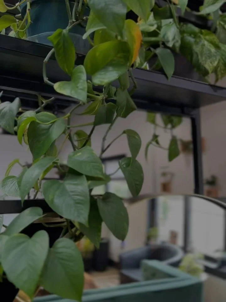 Did anyone get asked to be someone&rsquo;s fool this April Fools? 🃏

All jokes aside, we get it-sometimes seeing a professional just isn&rsquo;t in the budget, + that&rsquo;s okay. 🫶🏼 Keep us in your Rolodex for whenever you&rsquo;re ready. 😉