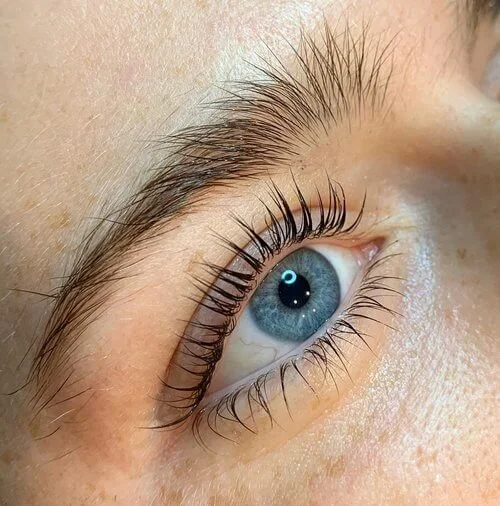 Eyelash Lifting and Tints