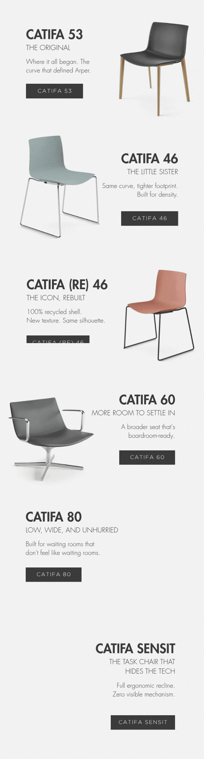 Elevate - August 2026 (1) - Catfia Family.gif