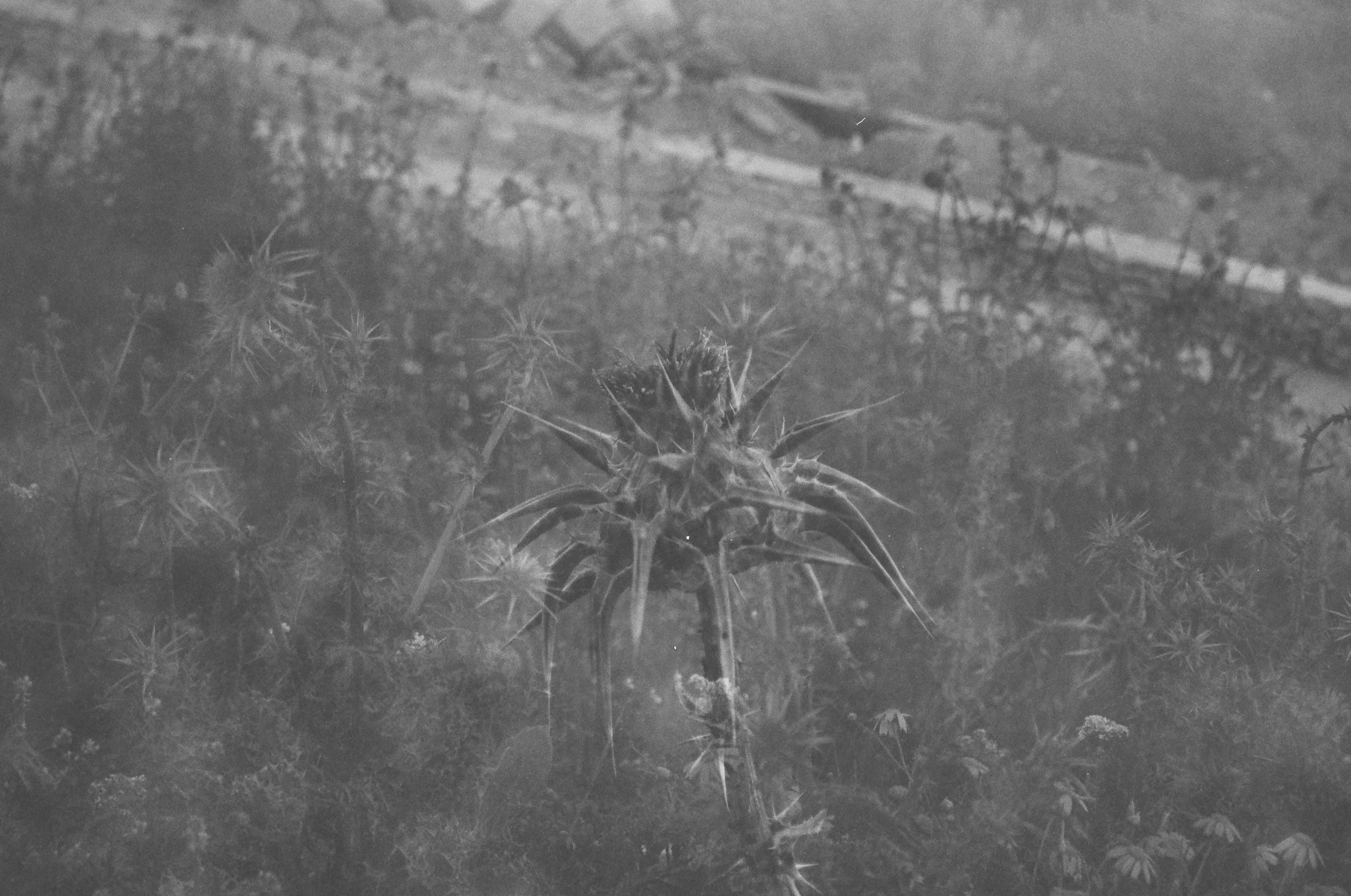 Utique Tunisia, April 2026