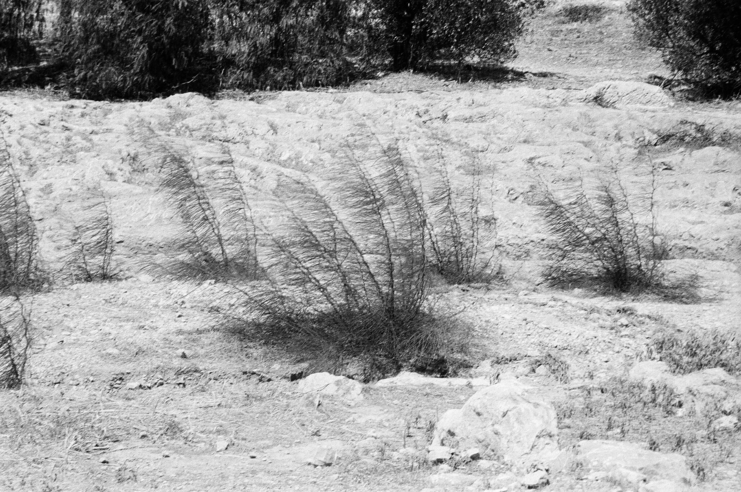 35mm, Greece, September 2026