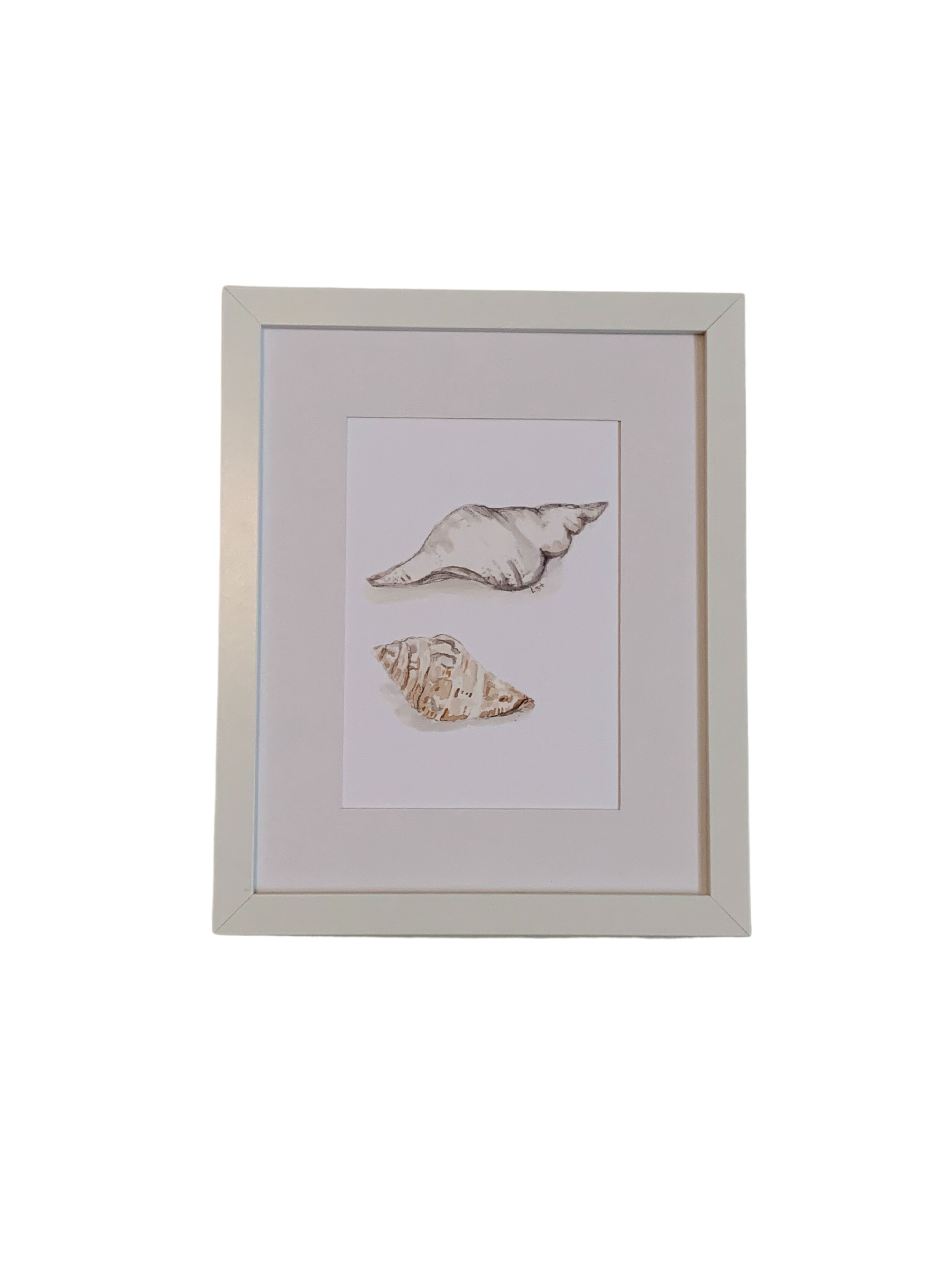 Seashells print-8x10 — LSA-studio