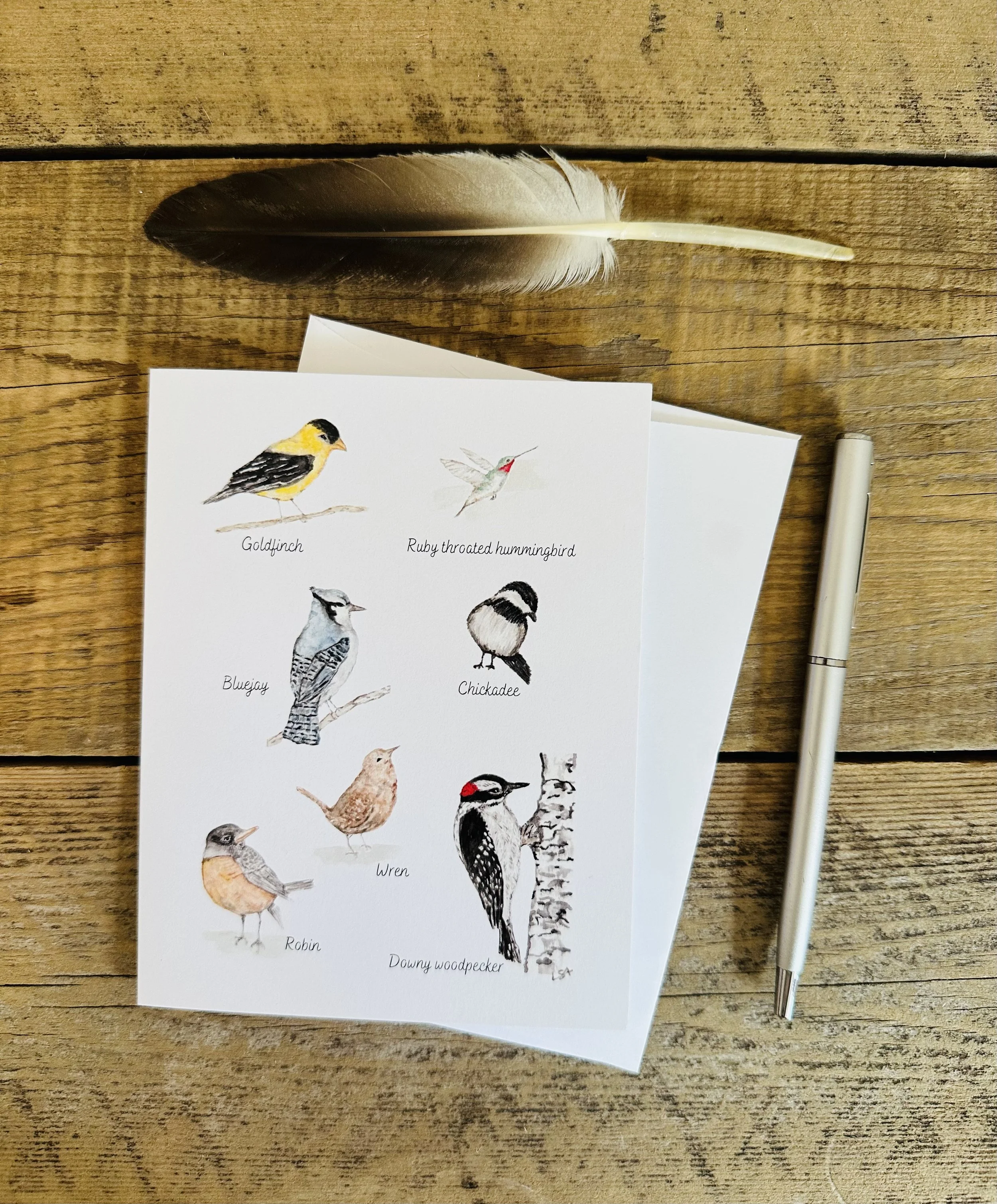 Backyard birds watercolor illustrated notecard set