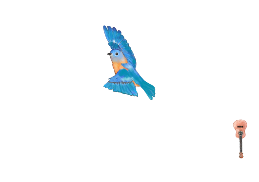 Jody Soland Music