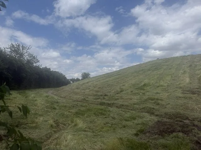 IMG_2386.jpeg
