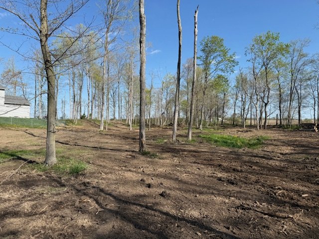 4 Acre Backyard Cleanup