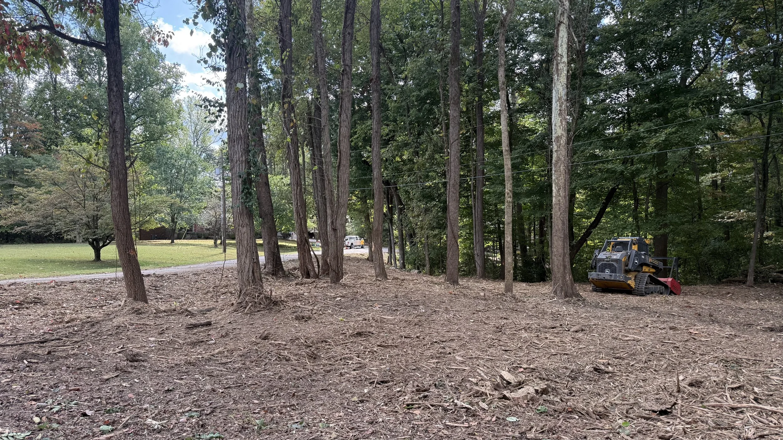 Limberlost Residential