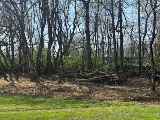 Residential Backyard Reclamation