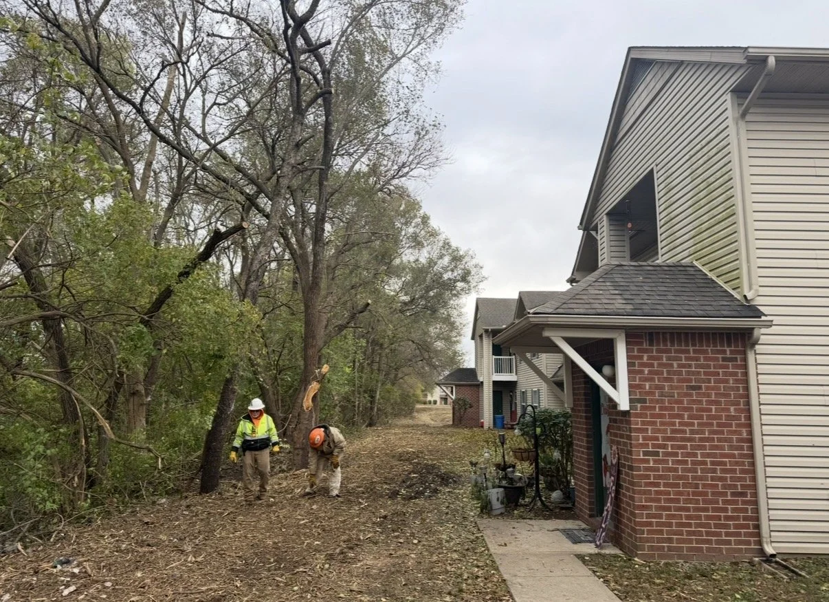 Arbors at Honey Creek Apartment Complex