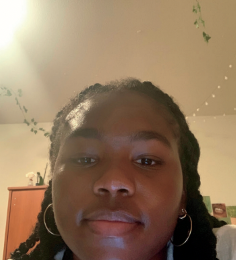 Screen Shot 2024-12-04 at 1.10.29 PM.png