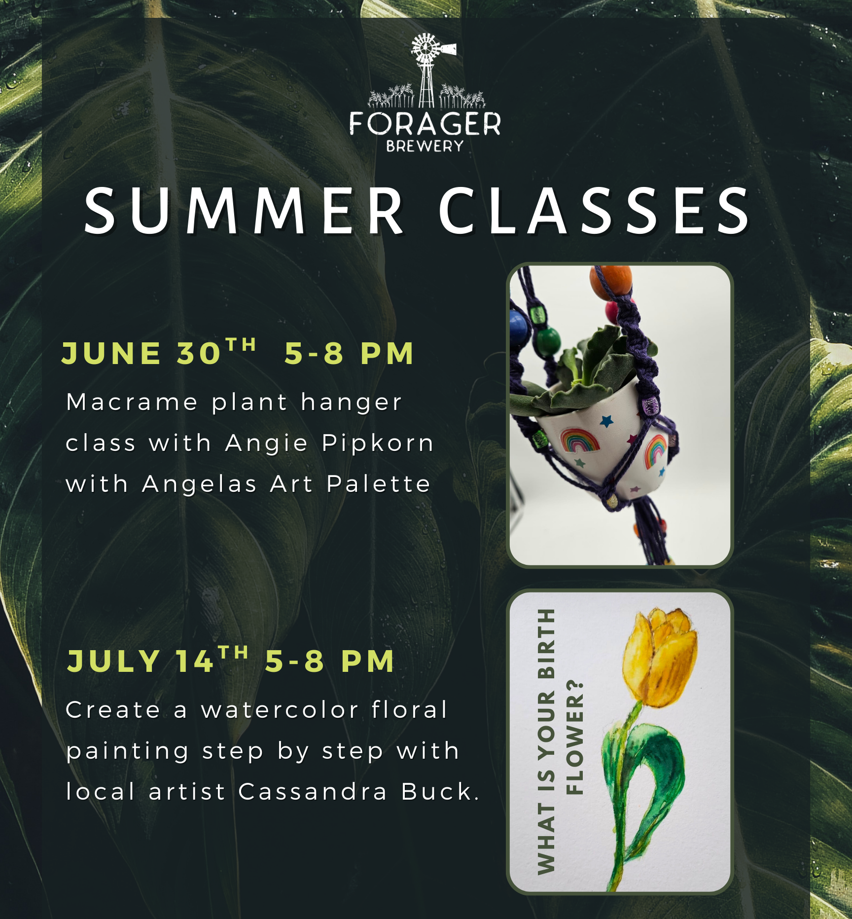 Forager Brewery Summer Class Series