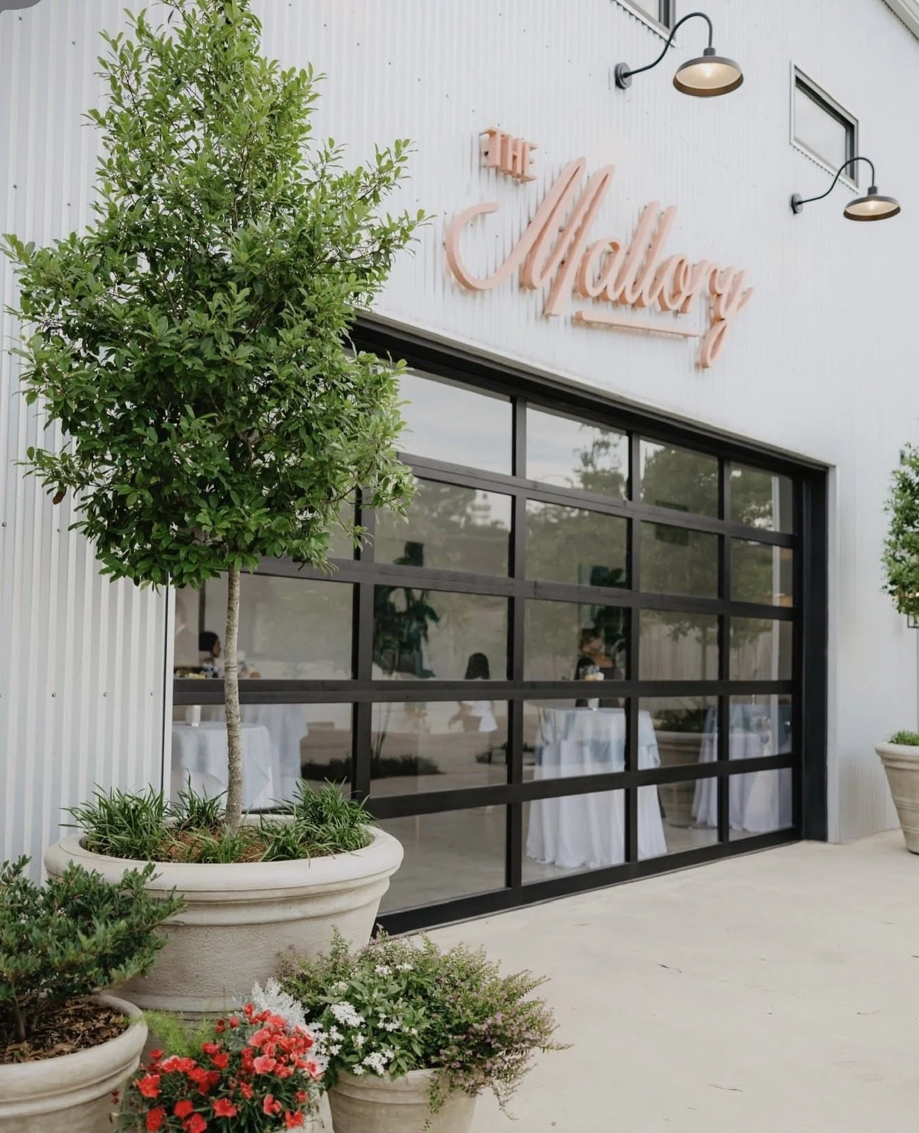 Photo Feb 03 2026, 11 42 34 AM.jpg