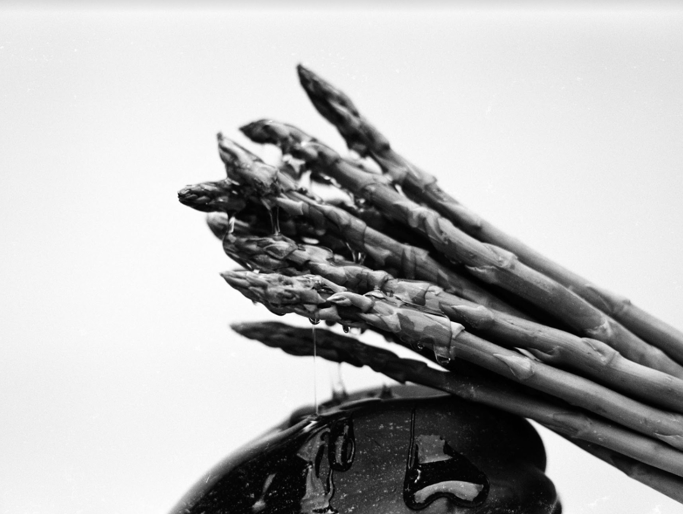 Screen Shot 2023-03-07 at 8.50.27 AM.png