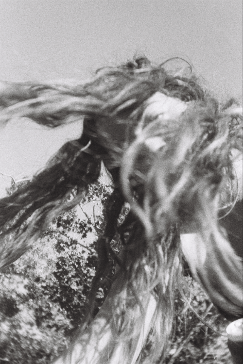 Screen Shot 2023-01-20 at 1.34.20 AM.png