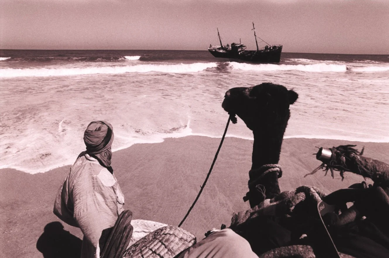 ship in water_camel on beach.jpeg